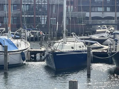Polyester Sailboat Martin 29 Photo 3