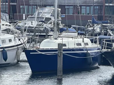 Polyester Sailboat Martin 29 Photo 0