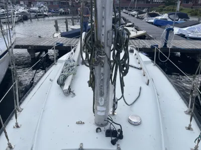Polyester Sailboat Martin 29 Photo 9