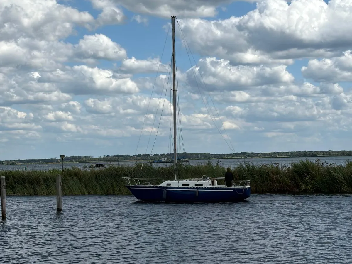 Polyester Sailboat Martin 29