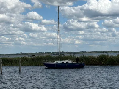 Polyester Sailboat Martin 29 Photo 46