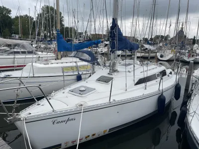 Polyester Segelboot Feeling 286S Foto 17