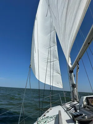 Polyester Segelboot Feeling 286S Foto 58