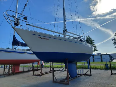 Standfast 33