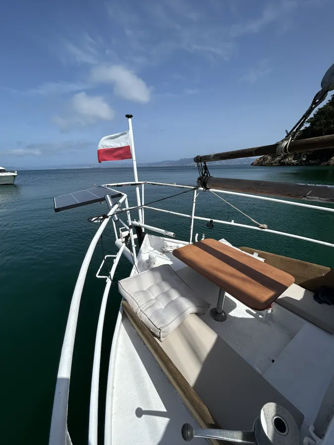 Staal Zeilboot Danish Rose 1000
