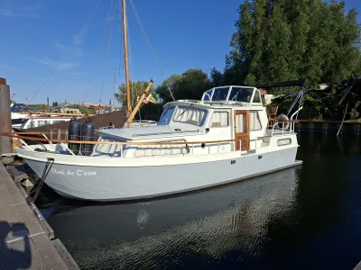 Steel Motorboat Crown kruiser 970 Photo 0
