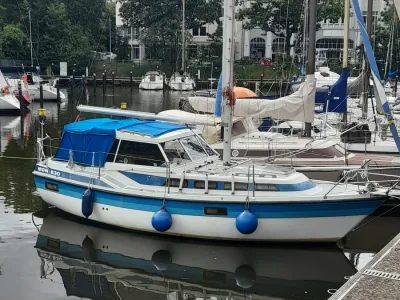 Møn 830