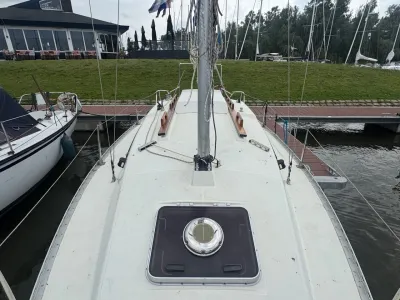 Polyester Segelboot Gib'Sea 242 Foto 7