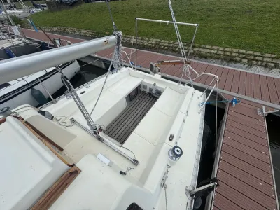 Polyester Segelboot Gib'Sea 242 Foto 8