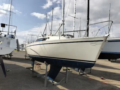 Gib'Sea 242