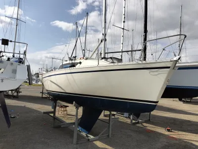 Polyester Segelboot Gib'Sea 242 Foto 15
