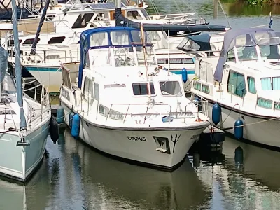 Neptunus 107