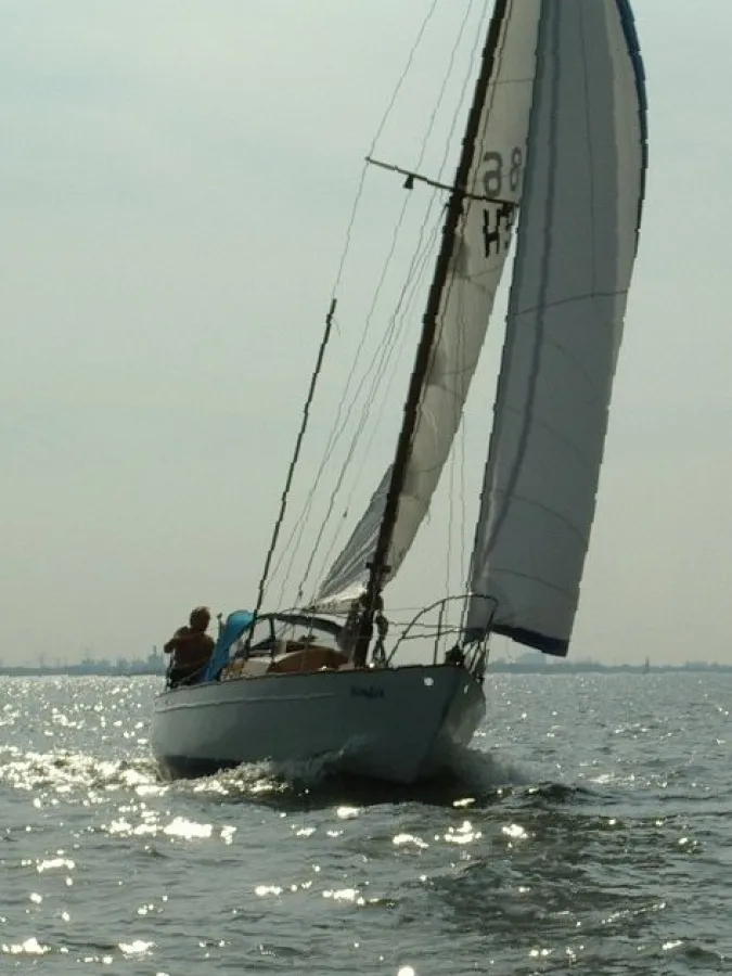 Steel Sailboat Trintella 870