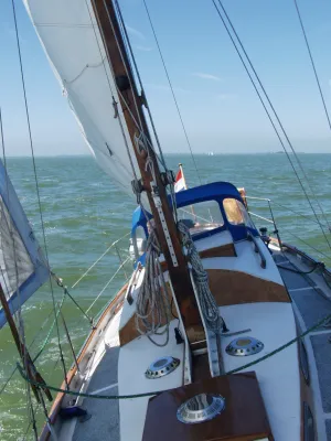 Steel Sailboat Trintella 870 Photo 18