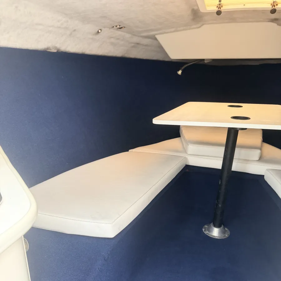 Polyester Bateau rapide Wellcraft 233 Eclipse