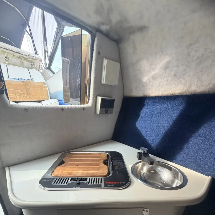Polyester Bateau rapide Wellcraft 233 Eclipse