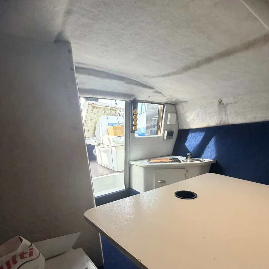 Polyester Bateau rapide Wellcraft 233 Eclipse