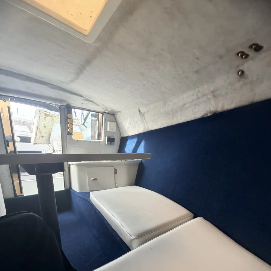 Polyester Bateau rapide Wellcraft 233 Eclipse