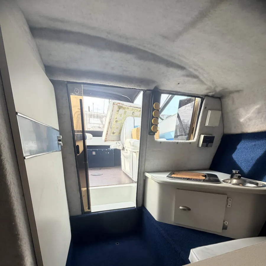 Polyester Bateau rapide Wellcraft 233 Eclipse