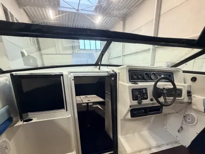 Polyester Bateau rapide Wellcraft 233 Eclipse Photo 35