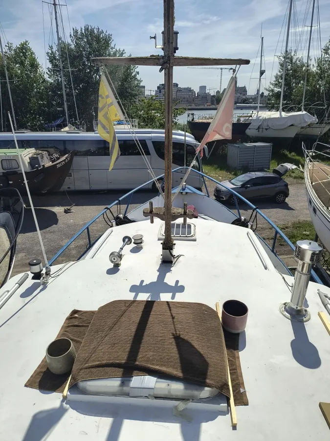Staal Motorboot De Alm Kruiser