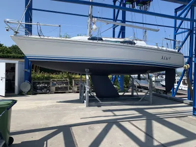 Polyester Voilier Winner 950 Photo 1