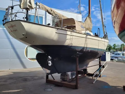 Staal Zeilboot Van de Stadt Marsdiep 34 Foto 11