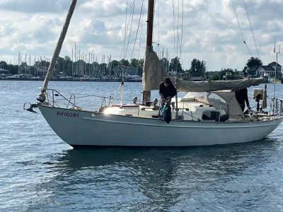 Staal Zeilboot Van de Stadt Marsdiep 34 Foto 20