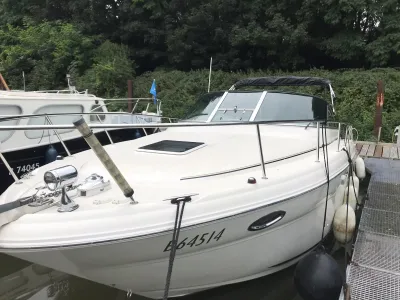 Sea Ray Amberjack 315