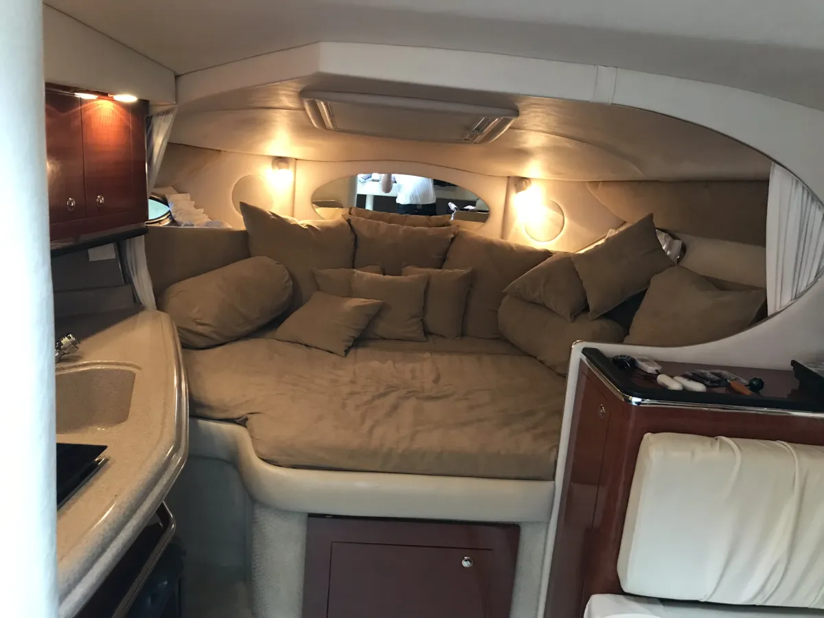 Composiet Speedboot Sea Ray Amberjack 315