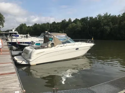 Composiet Speedboot Sea Ray Amberjack 315 Foto 10