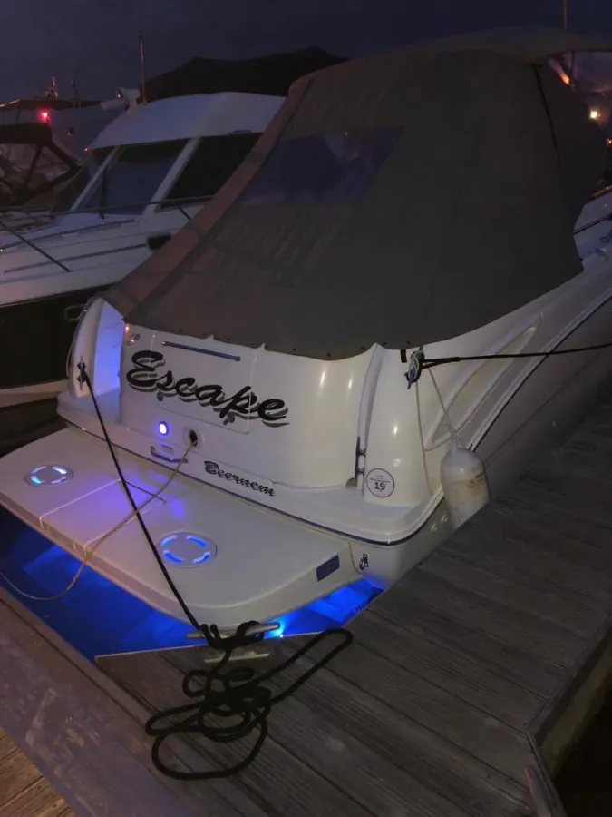 Composiet Speedboot Sea Ray Amberjack 315