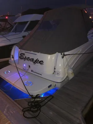 Composiet Speedboot Sea Ray Amberjack 315 Foto 8