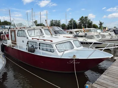 Acier Bateau à moteur Succeskruiser 900 Photo 1