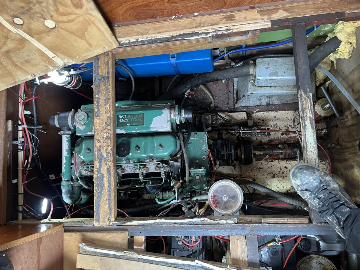 Acier Bateau à moteur Succeskruiser 900