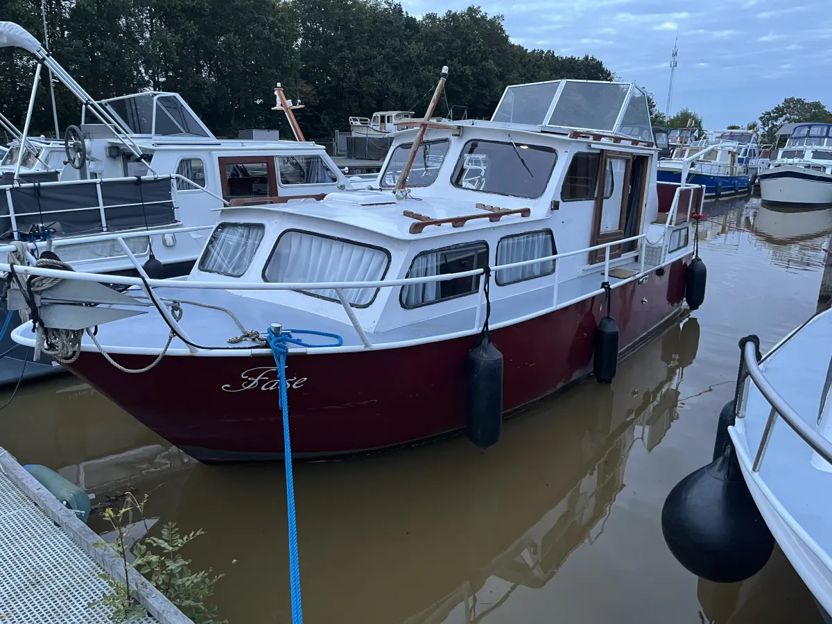 Acier Bateau à moteur Succeskruiser 900