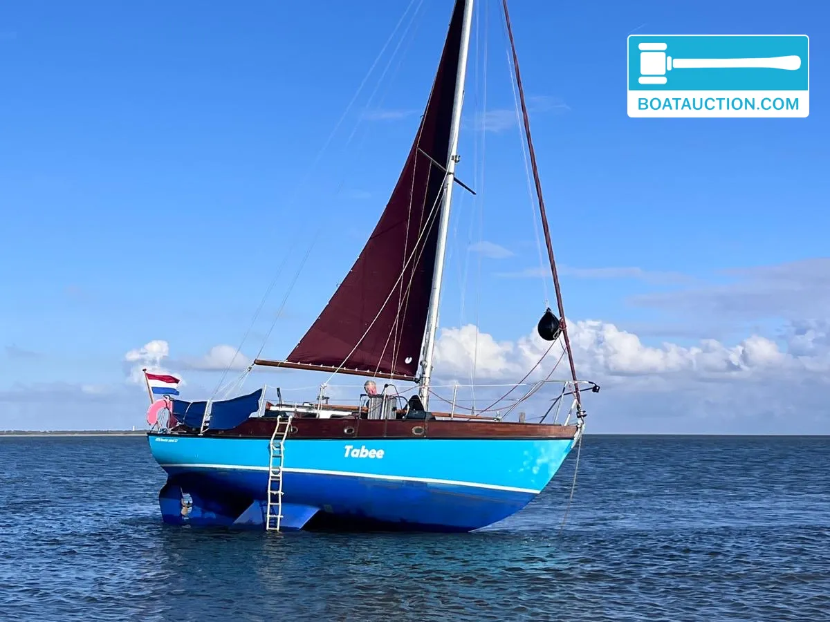Thumbnail - Rossiter Pintail 27