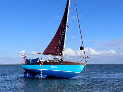 Rossiter Pintail 27