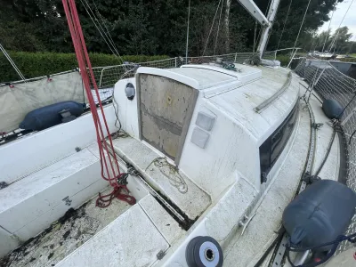 Polyester Sailboat Standfast Loper 27 Photo 51