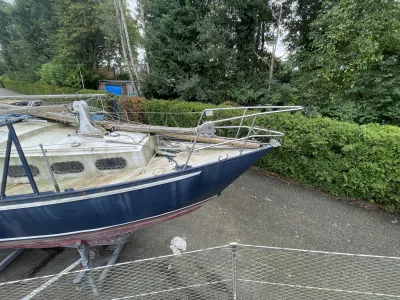 Steel Sailboat Friesland 860 Photo 6