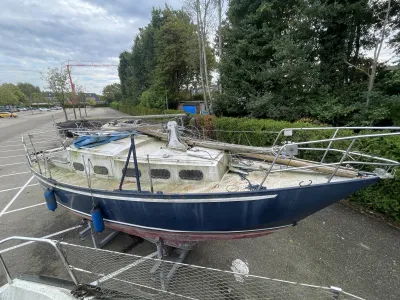 Steel Sailboat Friesland 860 Photo 7
