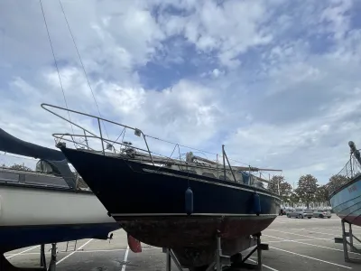 Steel Sailboat Friesland 860 Photo 10