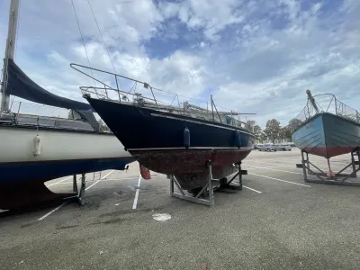 Steel Sailboat Friesland 860 Photo 11