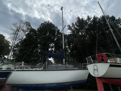 Polyester Sailboat Dufour 2800 Photo 41