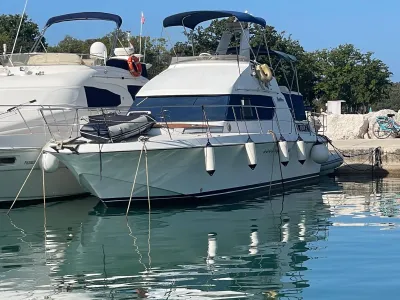 Powles 38 Fly