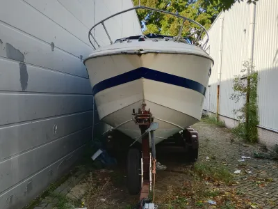 Polyester Motorboot Wellcraft Marina Sea Foto 5