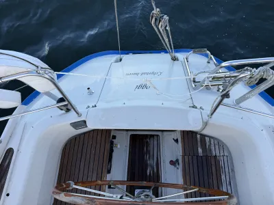 Polyester Zeilboot Dehler Optima 101 Foto 8