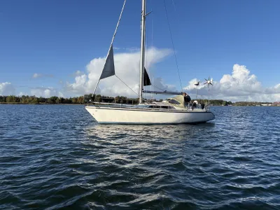 Dehler Optima 101