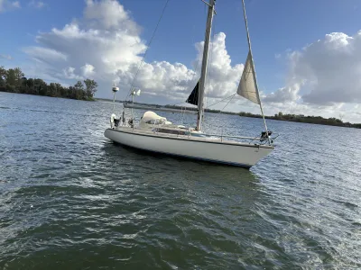 Polyester Zeilboot Dehler Optima 101 Foto 2