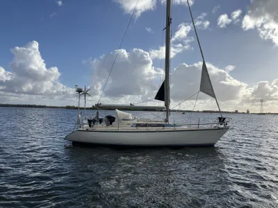 Polyester Zeilboot Dehler Optima 101 Foto 39